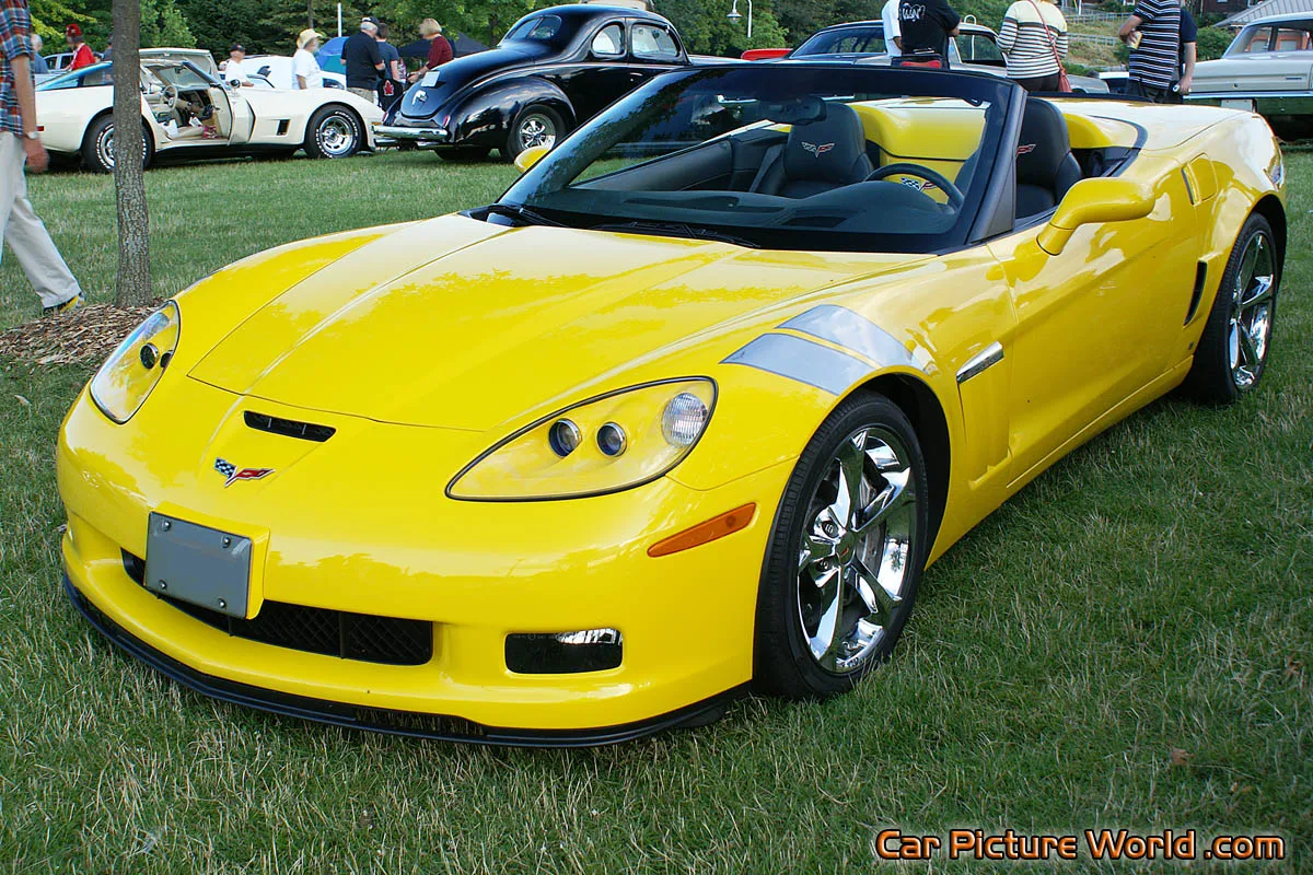 /img/49479-collectors-community.webp