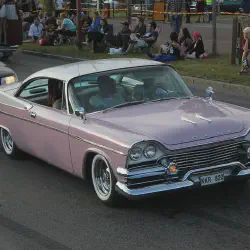 /img/49581-diecast-collection-display.webp