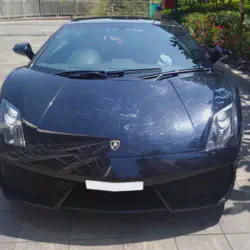 /img/49621-diecast-car-community.webp