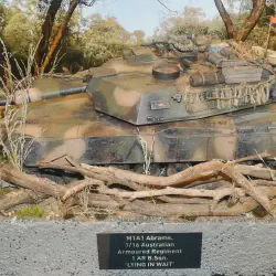 /img/49715-diecast-model-expo-highlights.webp